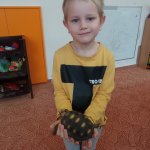 phoca_thumb_m_elva 28 Fotogalerie